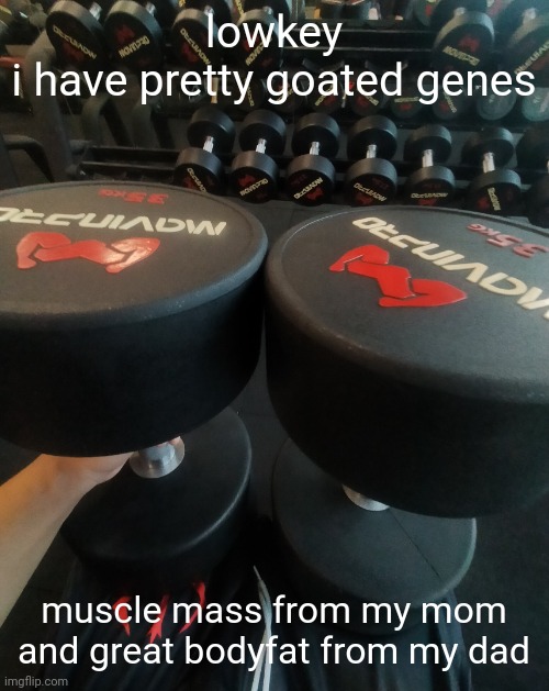 meaning i'll look unusually big and still have veins popping despite higher BF% | lowkey
i have pretty goated genes; muscle mass from my mom
and great bodyfat from my dad | image tagged in big 35 | made w/ Imgflip meme maker