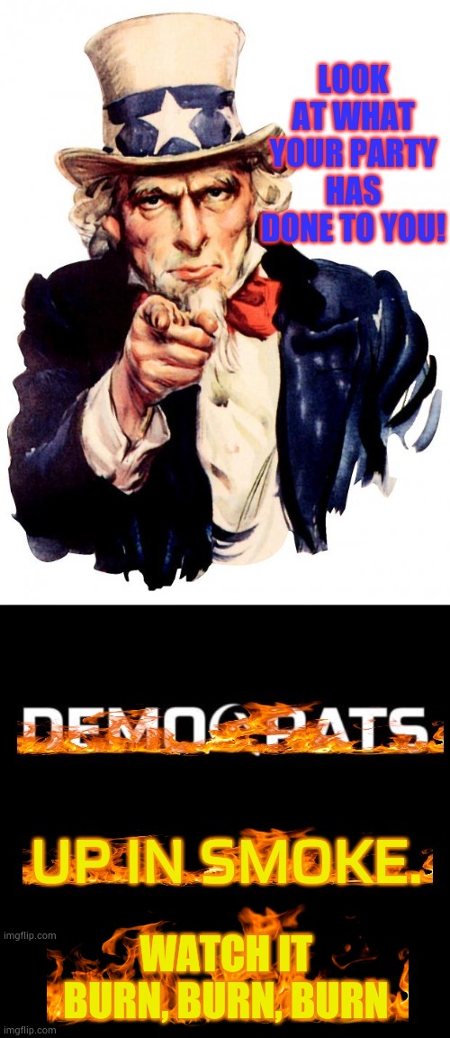 Democrats...Set That Sh*t On Fire | WATCH IT BURN, BURN, BURN | image tagged in memes,politics,democrats,on fire,watch,burn | made w/ Imgflip meme maker