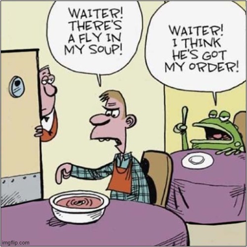 A Golden Oldie ! | image tagged in waiter,fly,frog | made w/ Imgflip meme maker