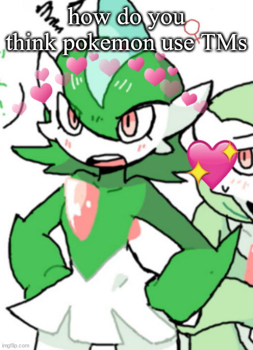 female gallade my beloved | how do you think pokemon use TMs | image tagged in female gallade my beloved | made w/ Imgflip meme maker