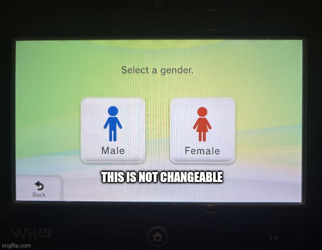 There are 2 genders confirmed | THIS IS NOT CHANGEABLE | image tagged in there are 2 genders confirmed | made w/ Imgflip meme maker