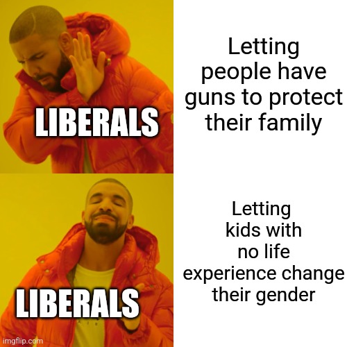 Drake Hotline Bling Meme | Letting people have guns to protect their family Letting  kids with no life experience change their gender LIBERALS LIBERALS | image tagged in memes,drake hotline bling | made w/ Imgflip meme maker