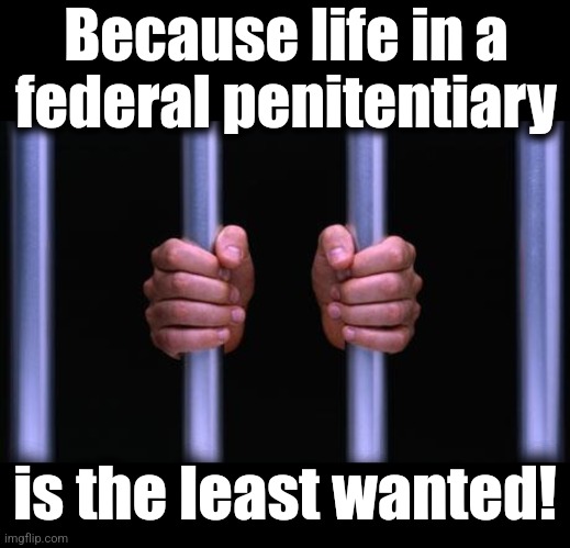 Because life in a
federal penitentiary is the least wanted! | image tagged in blank black,prison bars | made w/ Imgflip meme maker