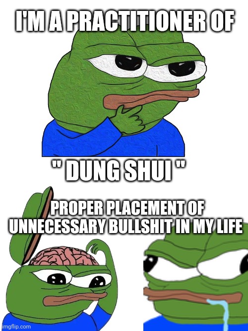 pepe the frog meme | I'M A PRACTITIONER OF; " DUNG SHUI "; PROPER PLACEMENT OF UNNECESSARY BULLSHIT IN MY LIFE | image tagged in pepe the frog | made w/ Imgflip meme maker