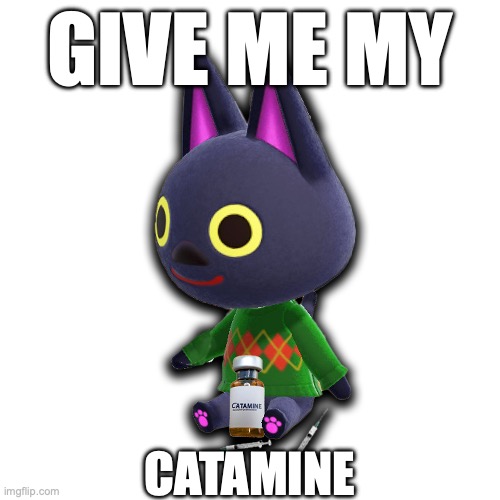 Give Me My Catamine | GIVE ME MY; CATAMINE | image tagged in seanclopedia,cat | made w/ Imgflip meme maker