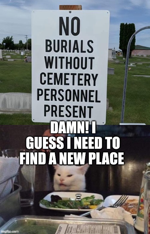 DAMN! I GUESS I NEED TO FIND A NEW PLACE | image tagged in smudge that darn cat | made w/ Imgflip meme maker