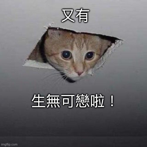 Bad mood | 又有; 生無可戀啦！ | image tagged in memes,ceiling cat | made w/ Imgflip meme maker