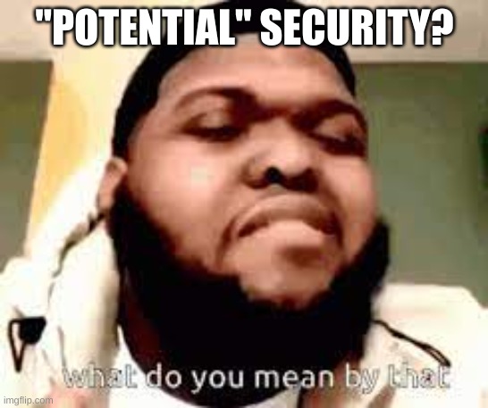 What do you mean by that | "POTENTIAL" SECURITY? | image tagged in what do you mean by that | made w/ Imgflip meme maker