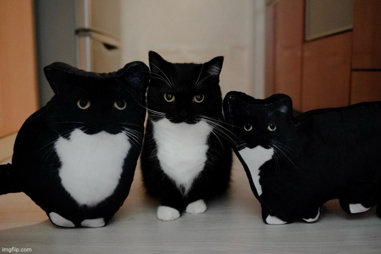 Now there are three of them....too much.... | made w/ Imgflip meme maker