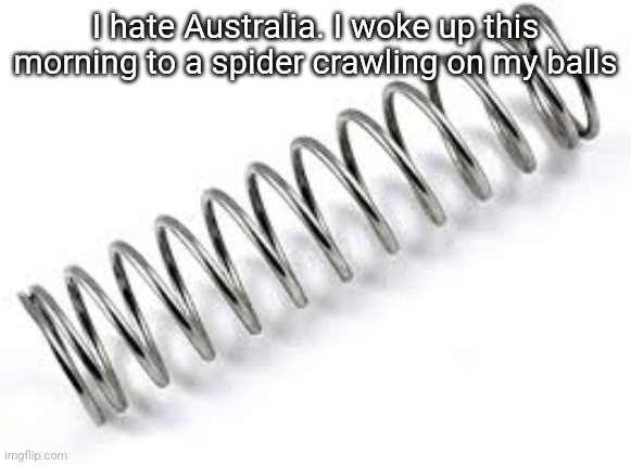 Boing | I hate Australia. I woke up this morning to a spider crawling on my balls | image tagged in boing | made w/ Imgflip meme maker
