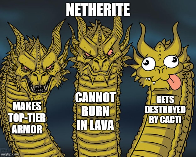 That last interaction makes absolutely no sense | NETHERITE; CANNOT BURN IN LAVA; GETS DESTROYED BY CACTI; MAKES TOP-TIER ARMOR | image tagged in three-headed dragon | made w/ Imgflip meme maker