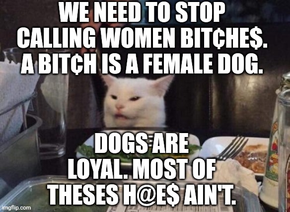 Smudge that darn cat | WE NEED TO STOP CALLING WOMEN BIT¢HE$. A BIT¢H IS A FEMALE DOG. DOGS ARE LOYAL. MOST OF THESES H@E$ AIN'T. | image tagged in smudge that darn cat | made w/ Imgflip meme maker