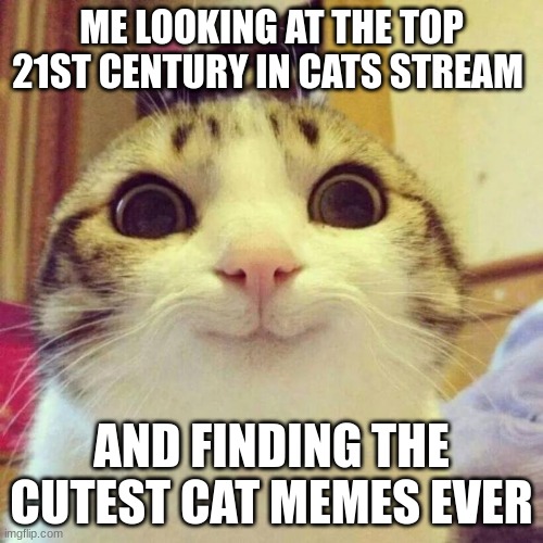 Smiling Cat | ME LOOKING AT THE TOP 21ST CENTURY IN CATS STREAM; AND FINDING THE CUTEST CAT MEMES EVER | image tagged in memes,smiling cat | made w/ Imgflip meme maker