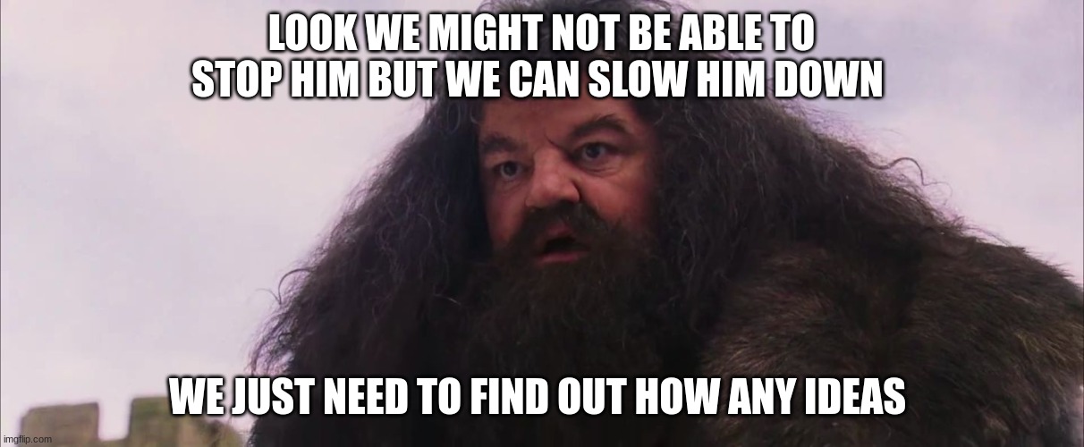 Hagrid | LOOK WE MIGHT NOT BE ABLE TO STOP HIM BUT WE CAN SLOW HIM DOWN; WE JUST NEED TO FIND OUT HOW ANY IDEAS | image tagged in hagrid | made w/ Imgflip meme maker