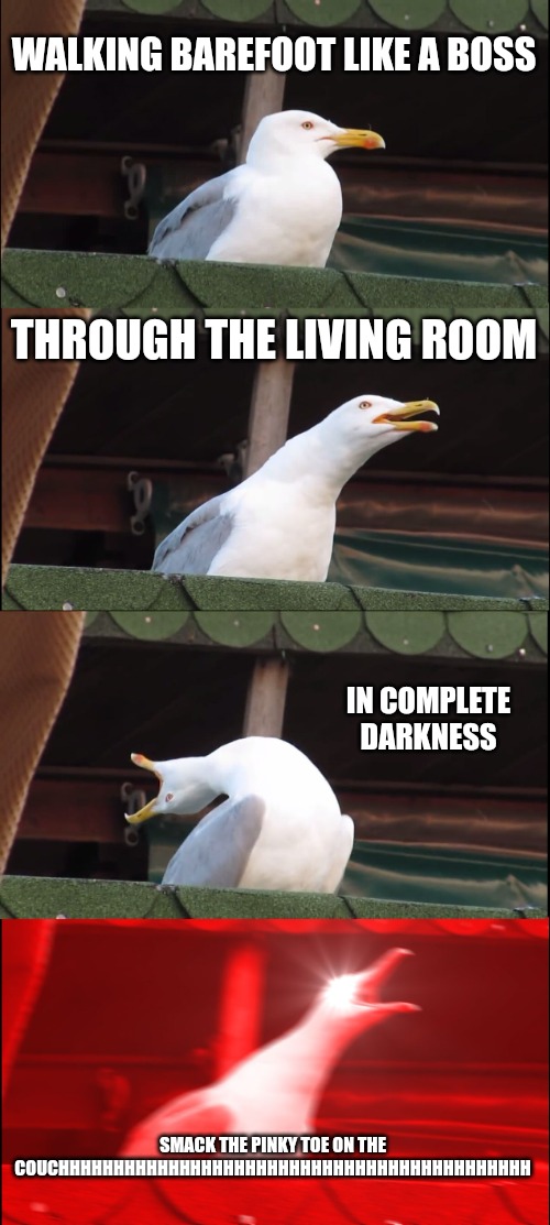 The PAIN | WALKING BAREFOOT LIKE A BOSS; THROUGH THE LIVING ROOM; IN COMPLETE DARKNESS; SMACK THE PINKY TOE ON THE COUCHHHHHHHHHHHHHHHHHHHHHHHHHHHHHHHHHHHHHHHHHHH | image tagged in memes,inhaling seagull,funny,funny memes,fun | made w/ Imgflip meme maker