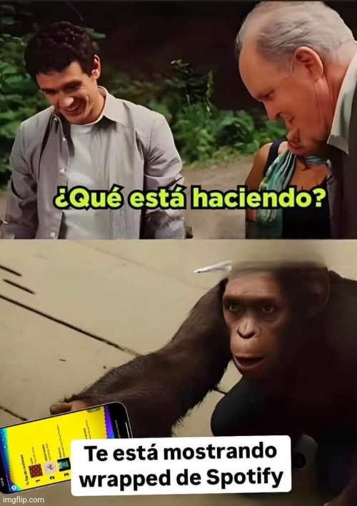 9cvz36.jpg