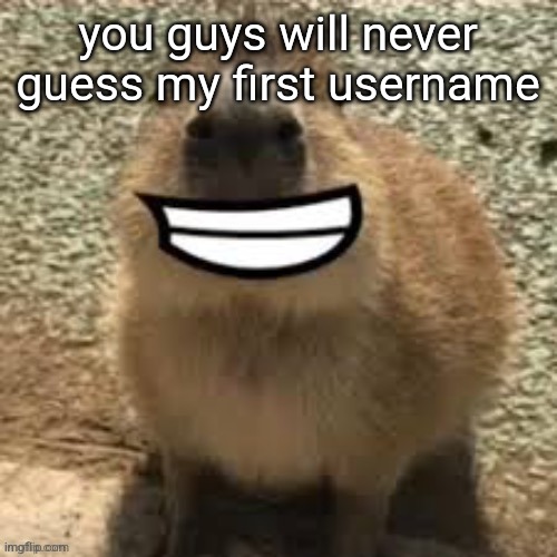 goofy ass capybara | you guys will never guess my first username | image tagged in goofy ass capybara | made w/ Imgflip meme maker