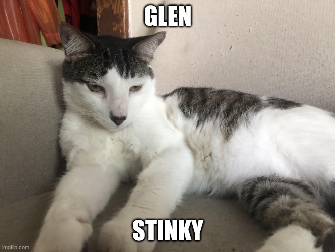 Glen's Average Monday | GLEN; STINKY | image tagged in glen's average monday | made w/ Imgflip meme maker