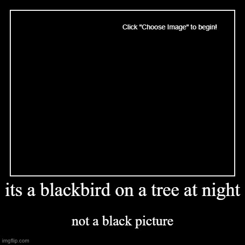 the new version of the poler bear in a snowstorm | its a blackbird on a tree at night | not a black picture | image tagged in funny,demotivationals | made w/ Imgflip demotivational maker