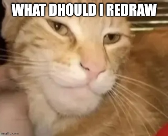 cat mewing | WHAT DHOULD I REDRAW | image tagged in cat mewing | made w/ Imgflip meme maker