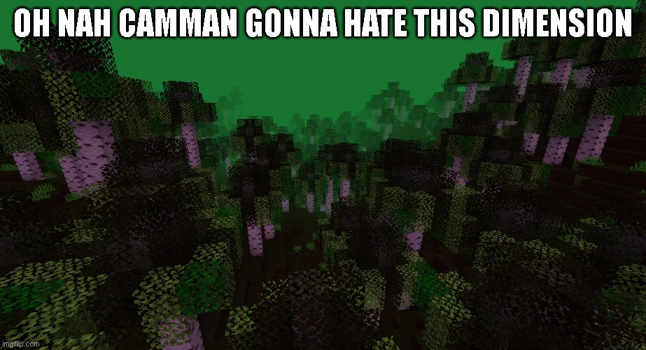 OH NAH CAMMAN GONNA HATE THIS DIMENSION | image tagged in aprilfools2020,minecraft 20w14infinite | made w/ Imgflip meme maker