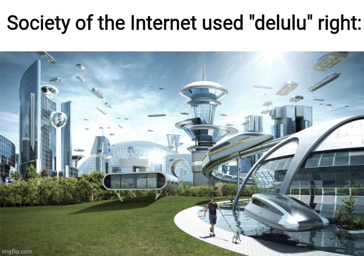 The future world if | Society of the Internet used "delulu" right: | image tagged in the future world if | made w/ Imgflip meme maker