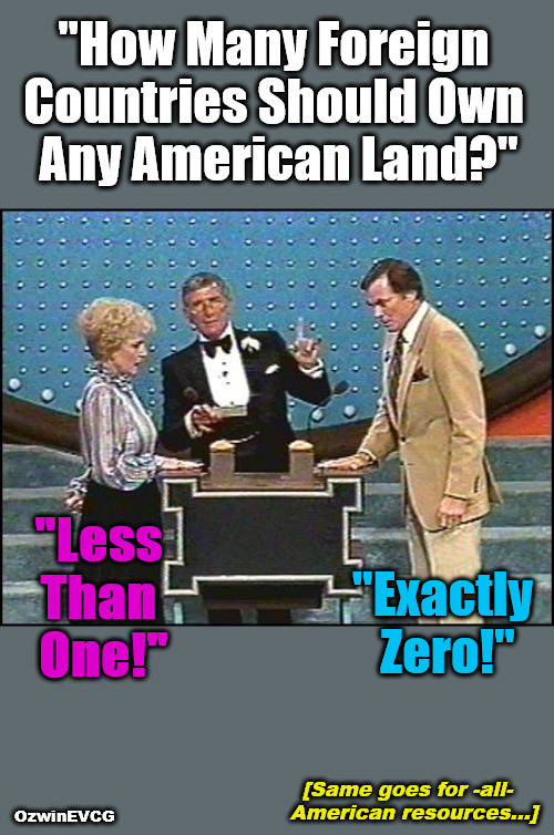 SGFAR | "How Many Foreign 

Countries Should Own 

Any American Land?"; "Less 

Than 

One!"; "Exactly 

Zero!"; [Same goes for -all-  

American resources...]; OzwinEVCG | image tagged in richard dawson family feud,domestic corruption,foreign subversion,real talk,politicians suck,america first | made w/ Imgflip meme maker