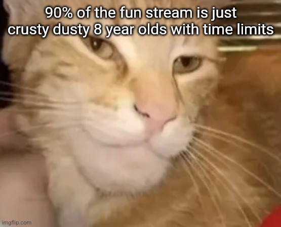 cat mewing | 90% of the fun stream is just crusty dusty 8 year olds with time limits | image tagged in cat mewing | made w/ Imgflip meme maker