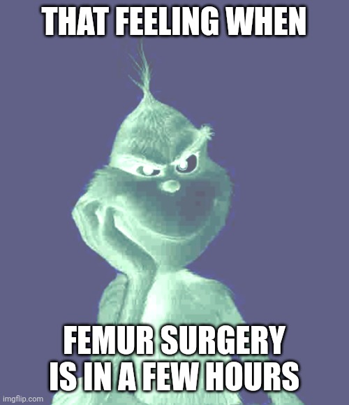 that feeling when | THAT FEELING WHEN; FEMUR SURGERY IS IN A FEW HOURS | image tagged in that feeling when | made w/ Imgflip meme maker