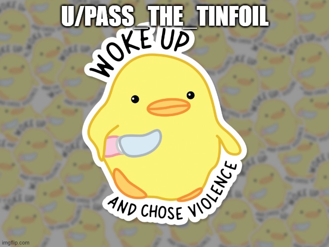 Woke up and choose violence | U/PASS_THE_TINFOIL | image tagged in woke up and choose violence | made w/ Imgflip meme maker