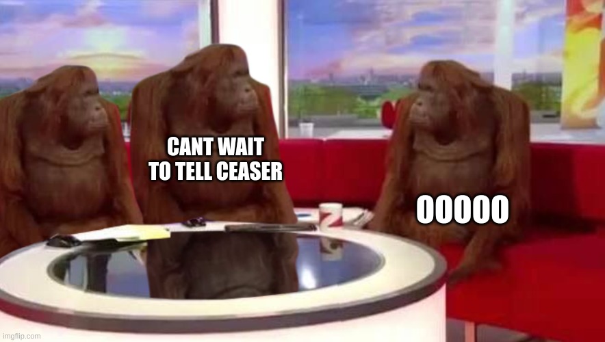 where monkey | CANT WAIT TO TELL CEASER OOOOO | image tagged in where monkey | made w/ Imgflip meme maker