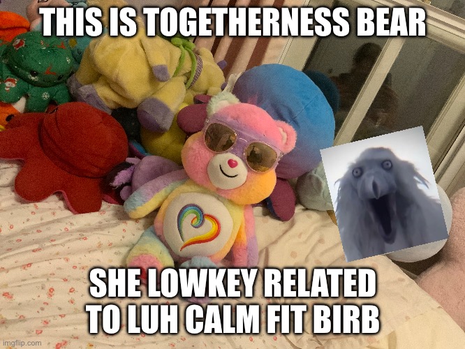 Be like her ! | THIS IS TOGETHERNESS BEAR; SHE LOWKEY RELATED TO LUH CALM FIT BIRB | made w/ Imgflip meme maker