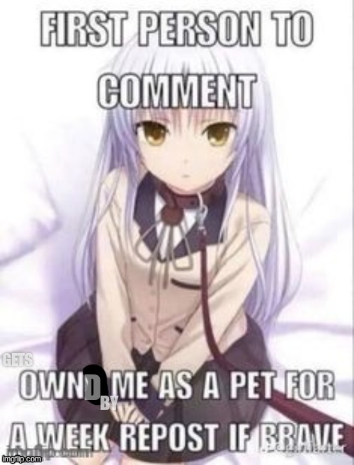 first person to comment owns as a pet for a week | GETS; D; BY | image tagged in first person to comment owns as a pet for a week | made w/ Imgflip meme maker