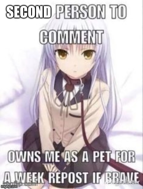 first person to comment owns as a pet for a week | SECOND | image tagged in first person to comment owns as a pet for a week | made w/ Imgflip meme maker