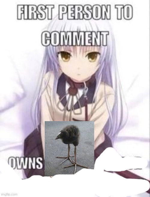 damn bird | image tagged in first person to comment owns as a pet for a week | made w/ Imgflip meme maker