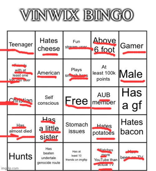 VinWix bingo | image tagged in vinwix bingo | made w/ Imgflip meme maker