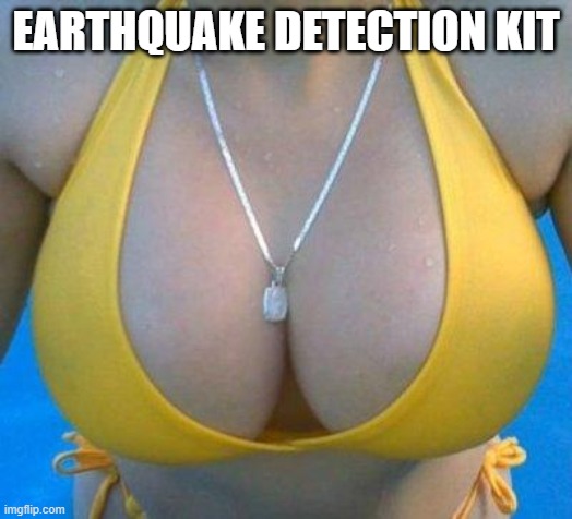 Earthquake detection kit, post more examples in the comments. | EARTHQUAKE DETECTION KIT | image tagged in boobs | made w/ Imgflip meme maker