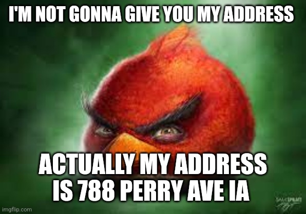 Realistic Red Angry Birds | I'M NOT GONNA GIVE YOU MY ADDRESS; ACTUALLY MY ADDRESS IS 788 PERRY AVE IA | image tagged in realistic red angry birds | made w/ Imgflip meme maker