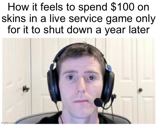 Sad Linus | How it feels to spend $100 on
skins in a live service game only
for it to shut down a year later | image tagged in sad linus | made w/ Imgflip meme maker