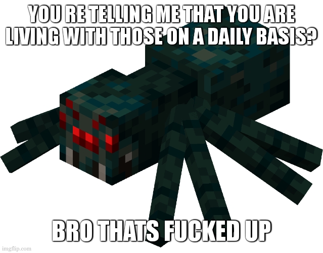 YOU RE TELLING ME THAT YOU ARE LIVING WITH THOSE ON A DAILY BASIS? BRO THATS FUCKED UP | image tagged in minecraft spider | made w/ Imgflip meme maker