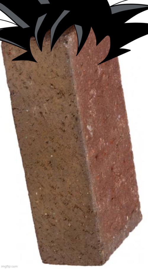 brick | image tagged in brick | made w/ Imgflip meme maker