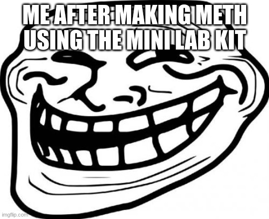 insert crimes committed here | ME AFTER MAKING METH USING THE MINI LAB KIT | image tagged in memes,troll face | made w/ Imgflip meme maker