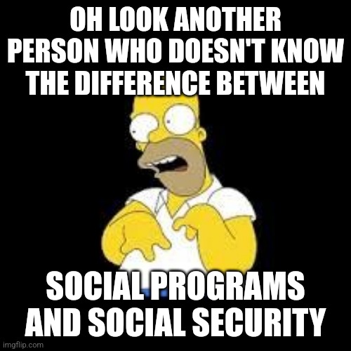 Look Marge | OH LOOK ANOTHER PERSON WHO DOESN'T KNOW THE DIFFERENCE BETWEEN SOCIAL PROGRAMS AND SOCIAL SECURITY | image tagged in look marge | made w/ Imgflip meme maker