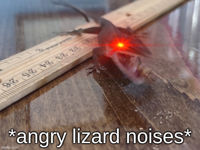 Angry lizard | *angry lizard noises* | image tagged in angry lizard | made w/ Imgflip meme maker