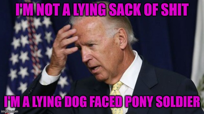 Joe Biden worries | I'M NOT A LYING SACK OF SHIT I'M A LYING DOG FACED PONY SOLDIER | image tagged in joe biden worries | made w/ Imgflip meme maker