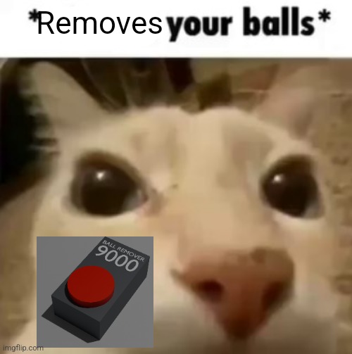 X your balls | Removes | image tagged in x your balls | made w/ Imgflip meme maker