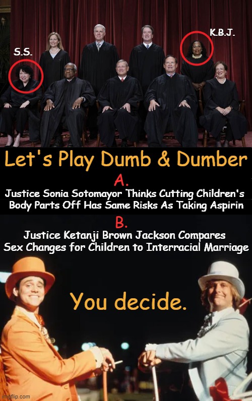 Survey Says?? | K.B.J. S.S. Let's Play Dumb & Dumber; A. Justice Sonia Sotomayor Thinks Cutting Children's 

Body Parts Off Has Same Risks As Taking Aspirin; B. Justice Ketanji Brown Jackson Compares 

Sex Changes for Children to Interracial Marriage; You decide. | image tagged in supreme court,dumb and dumber,big brain time,hard choice to make,poor choices,supreme court justices | made w/ Imgflip meme maker