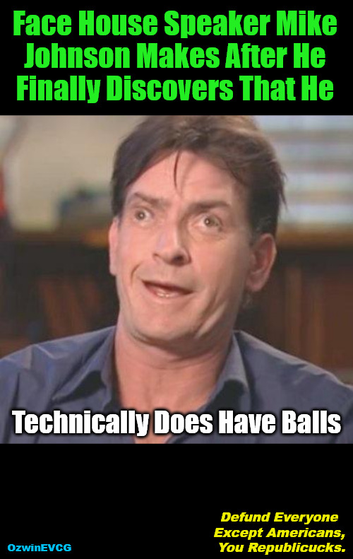 DEYP | Face House Speaker Mike 

Johnson Makes After He 

Finally Discovers That He; Technically Does Have Balls; Defund Everyone 

Except Americans, 

You Republicucks. OzwinEVCG | image tagged in charlie sheen derp,house speaker,mike johnson,republican party,foreign aid,america first | made w/ Imgflip meme maker