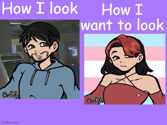 Link: https://picrew.me/ja/secret_image_maker/9FA1DqSHdHbebP8R | image tagged in how i look vs how i want to look | made w/ Imgflip meme maker