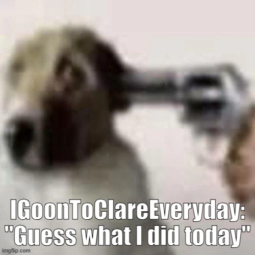 gimmick alts nowadays | IGoonToClareEveryday: "Guess what I did today" | image tagged in dog gunpoint | made w/ Imgflip meme maker